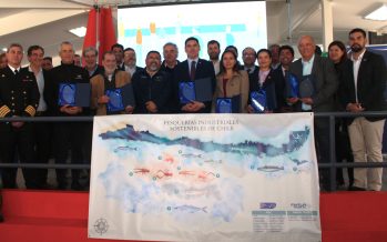 Tras una década de pesquerías certificadas, el 97% del desembarque de la pesca industrial es sostenible
