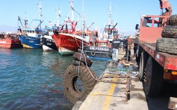 Estudiantes y buzos limpian fondo marino y playas de Coquimbo