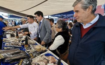 Inician construcción de la primera política nacional para promover el consumo de productos del mar chileno