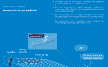 Chile consolida uno de los planes de reducción de descarte más efectivos del mundo para la captura de merluza común industrial