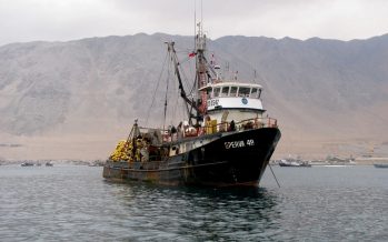 Desembarques pesqueros marcan su mejor registro en últimos cinco años